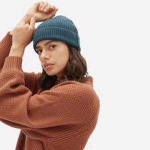 Everlane cashmere rib beanie